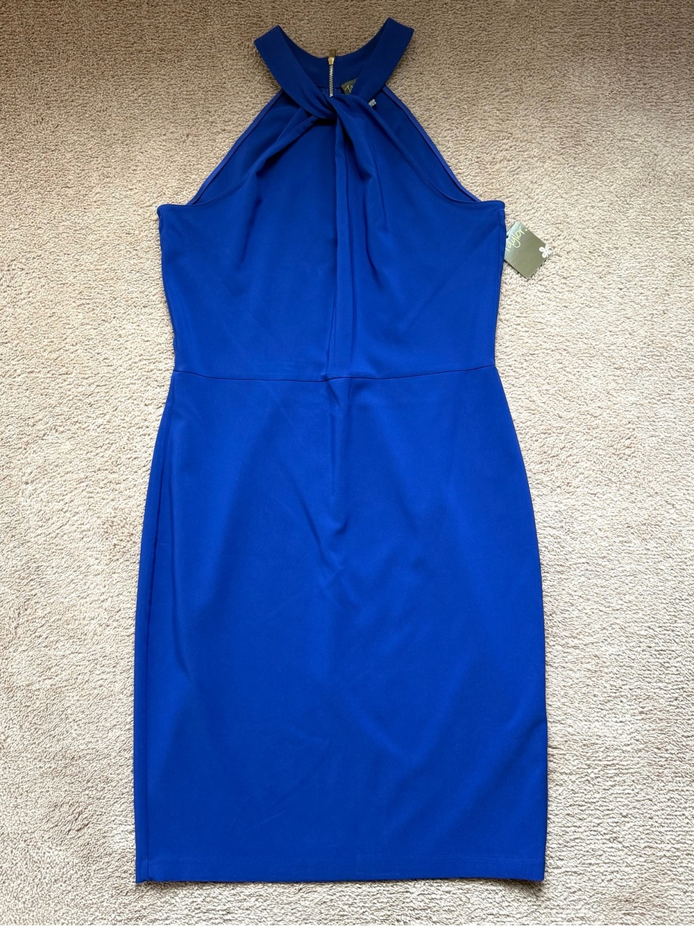 NWT Taylor halter dress